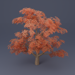 Oak Tree 04 - Orange