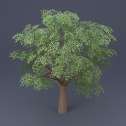 Oak Tree 05 - Green