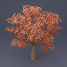 Oak Tree 05 - Orange