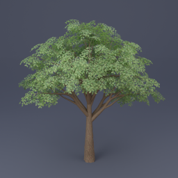 Oak Tree 06 - Green