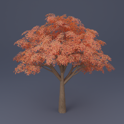 Oak Tree 06 - Orange