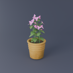 Bougainvillea 02