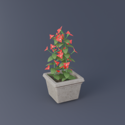 Bougainvillea 03