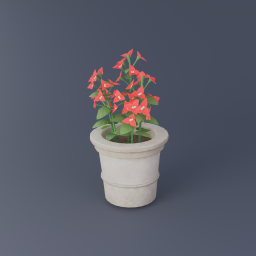 Bougainvillea 04