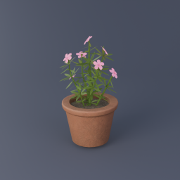 Oleander 01