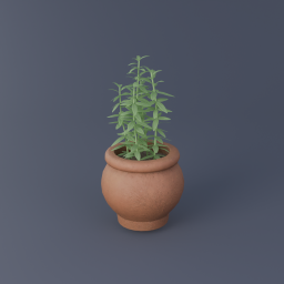 Sage 01