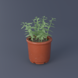 Sage 02