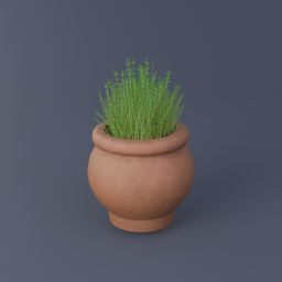 Thyme 02