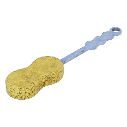 BackSponge