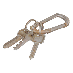Carabiner Keychain