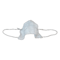 FaceMask_Dirty FaceMask.001