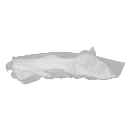 plastic bag