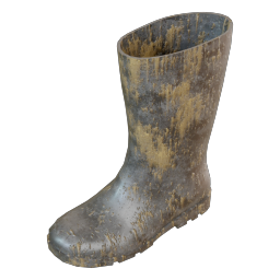 wellington_boot