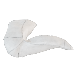 white socks trash