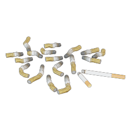 cigarette