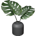 Monstera B03.2