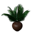 Palm B14 potb