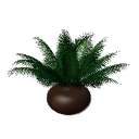 Palm B14 potc