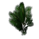 Palm B14i