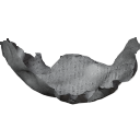 Plane.006