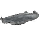 Plane.009