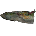 Plane.031
