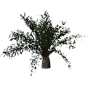 3DGardenPlants_Elaeis guineensis_01_5_LowPoly