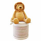 Lion on basket