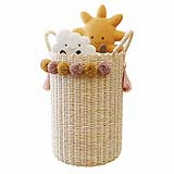 Sun and cloud in basket
