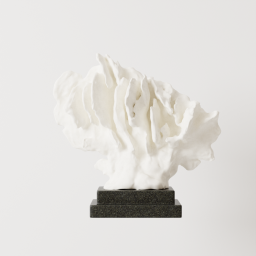 Coral_01