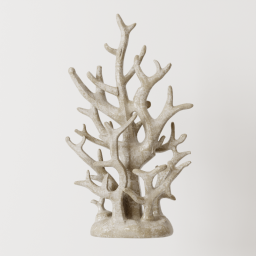 Coral_02