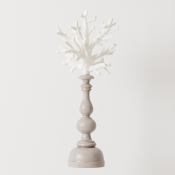 Coral_03