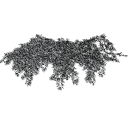Cotoneaster_dammeri_030301