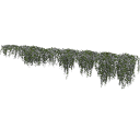 arranged Lysimachia collection_3DShaker