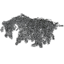Cotoneaster_dammeri_030303