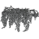 Cotoneaster_dammeri_030402