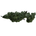 Juniperus_creeping_010202