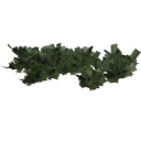 Juniperus_creeping_010302