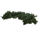 Juniperus_creeping_010402
