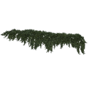arranged Juniperus_creeping_collection_3DShaker