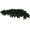 arranged Juniperus creeping02 collection_3DShaker