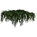 IvyA01_02