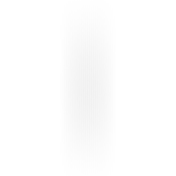 E19