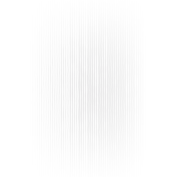 E20