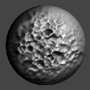 23DragRectASCreatureSkin