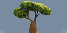 Cartoon Baobab Tree