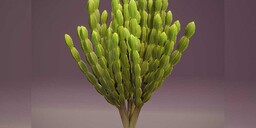 Cartoon Candelabra Tree