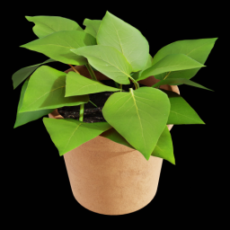 Plant 1