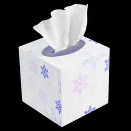 Tissue Box 2