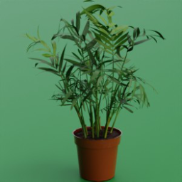 ikea_plant_chamaedorea_elegans_9cm